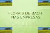 Florais de Bach Nas Empresas
