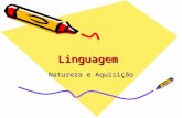 Fonoaudióloga - Linguagem