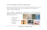 Microbiologia General Teorica