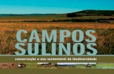 Campos Sulinos - Valerio de Patta Pillar