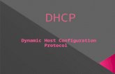 DHCP  Apresentação no power point