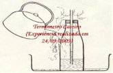 Termômetro Caseiro
