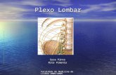 Plexo Lombar - Anatomia
