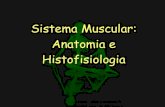 Anatomia e Histofisiologia Muscular