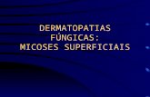 Dermatologia Veterinaria - Micologia Cutanea