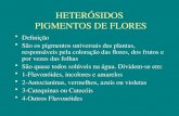 Heterósidos flavonóides