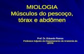 ER Miologia + Pescoço, tórax e abdomen