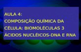 aula 4 ácidos nucléicos DNA e RNA