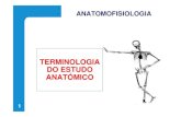 Terminologia do Estudo Anatómico