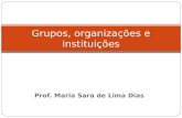 Aula Sara .Grupos, organizações e instituições