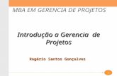 Introdução a Gerencia de de Projetos 2009