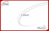 Treinamento de Linux: Parte 2