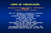 AULA 1 - Campo de Cancerização