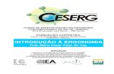 Introdução a Ergonomia Vidal CESERG