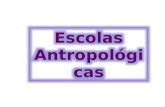 aula 07 - escolas antropológicas