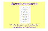 Química de ácidos Nucléicos