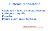 Sistema respiratorio patologia