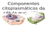 Componentes Citoplasmaticos