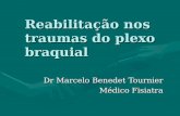 Reabilitação nos traumas do plexo braquial