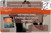 2752 Examen 3 Metabolismo Energetico en El Humano Eq 4