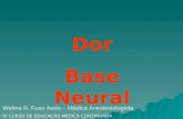 Aula - Dor - Bases Neurais
