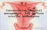 Manejo cirúrgico conservador da adenomiose uterina difusa
