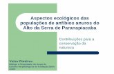 Aspectos ecológicos de anfíbios anuros em Paranapiacaba