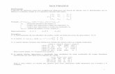 1-Matrizes - Livro de Algebra Linear I