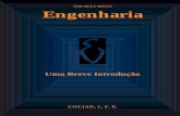 Engenharia - Uma Breve Introdução - Cocian L.F.E.