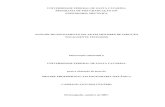 Dissertacao Aletas Rotor Rev 2008-11-19 PDF