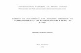 Dissertao-marcos f. Gabrich-Verso Final Impressa 12-06-08