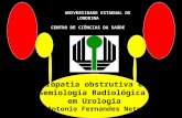 Uropatia Obstrutiva e Semiologia Radiológica em Urologia
