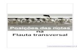 Posiçoes da notas na Flauta transversal