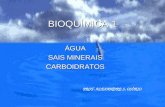 3999726 Quimica PPT Agua Sais Minerais e Carboidratos