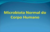 Microbiologia Aula 7 Microbiota Normal Do Corpo Humano