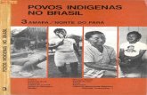 Povos Indígenas no Brasil - volume 3