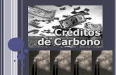 Credito de Carbono - Conceitos