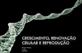 (1) Crescimento, renovação celular e reprodução