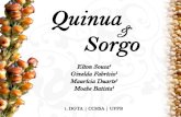 Quinua e Sorgo