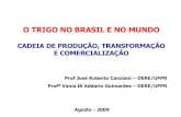 Trigo Brasil e Mundo-Jose Canziani