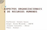 Aspectos Organizacionais e de Recursos Humanos