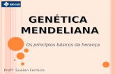 Genetica 01 Leis de Mendel