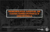 Hemorragia Genital de Causa Obstetric A e Gin Ecologic A