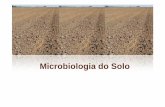 Microbiologia Ambiental [Modo de Compatibilidade