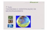 Microbiologia 7ª Aula - Taxonomia e Identificação de Microrganismos