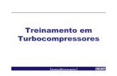 Treinamento Em Turbo Compress Ores Rui - Abril 2004
