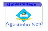 1763_Da Mata, Universidade Agostinho Neto