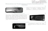 Tomografia Computadorizada - Posicionamento e Anatomia