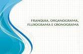 Franquia, Fluxograma, Organograma e Cronograma