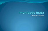 FVS Imunidade Inata